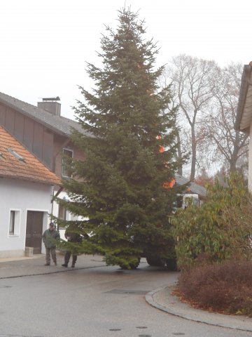 Christbaum 2011